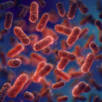 Superantybiotyki na superbakterie