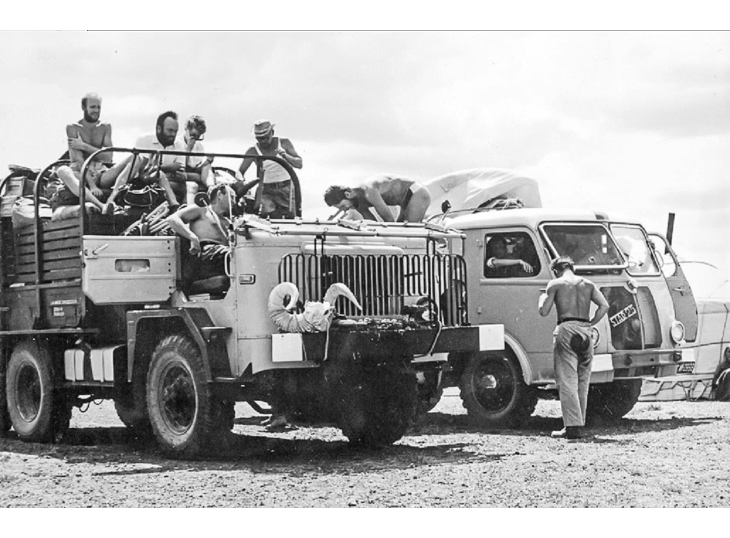 W poszukiwaniu dinozaurów