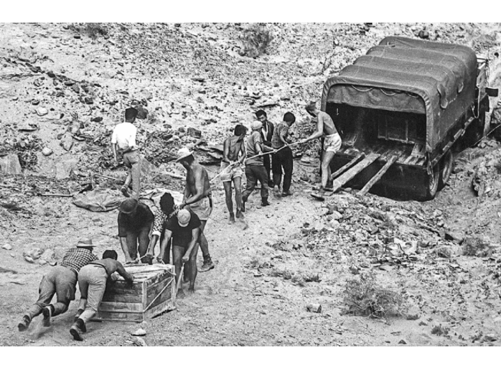 W poszukiwaniu dinozaurów