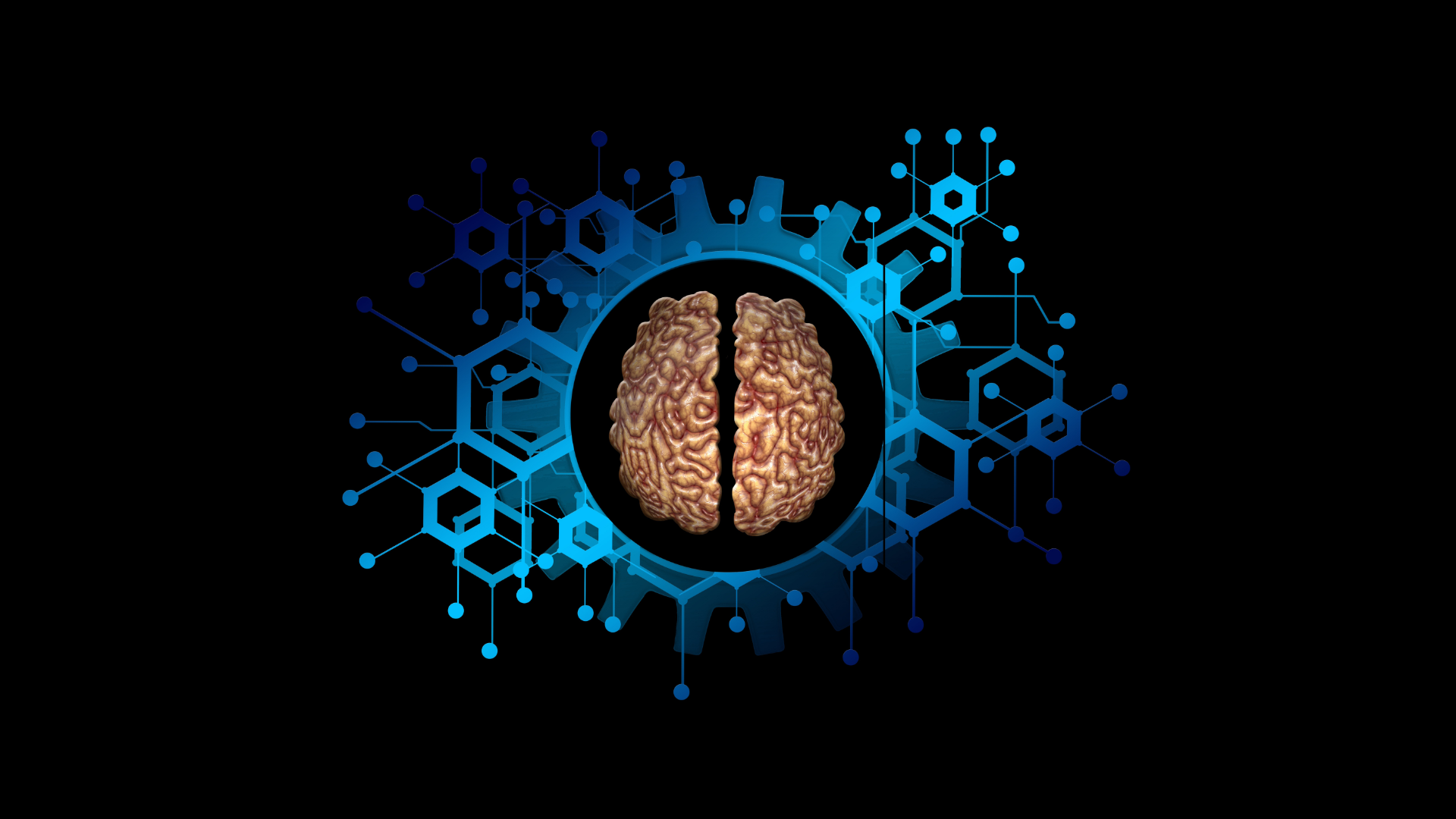 Neuroplastyczność w praktyce. Jak świadomie kształtować nawyki
