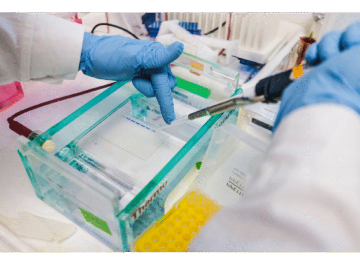 Międzynarodowy Instytut Mechanizmów i Maszyn Molekularnych