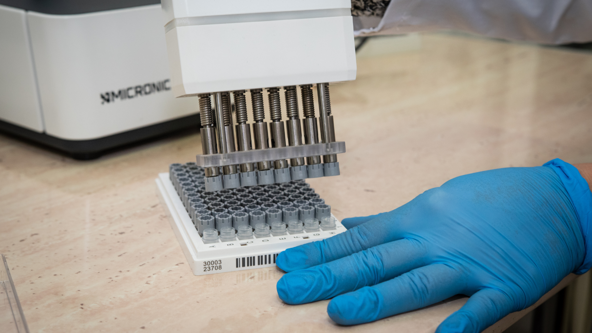 Przygotowanie próbek DNA roślin zabezpieczonych w banku nasion do przechowywania w ultraniskich temperaturach. Wyizolowany materiał genetyczny jest umieszczany w specjalnych próbówkach, a następnie przygotowywany do długoterminowego przechowywania w temperaturze –80 st. C, co pozwala na zachowanie jego integralności